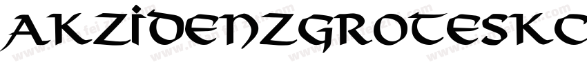 AkzidenzGroteskCE Bo字体转换